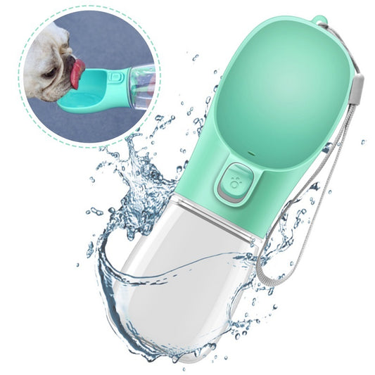 Gourde de voyage pour chien & chat – Format ergonomique