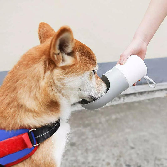 Gourde de voyage pour animaux (Pet Drinking Cup)